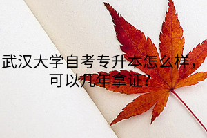 武汉大学自考专升本怎么样，可以几年拿证？