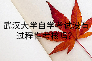 武汉大学自学考试没有过程性考核吗?