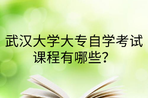 武汉大学大专自学考试课程有哪些？