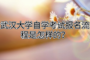 武汉大学自学考试报名流程是怎样的？