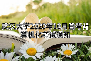 武汉大学2020年10月自考计算机化考试通知