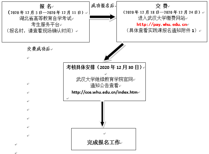 2021年上半年武汉大学自学考试主考专业实践考核报名通知