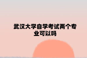 武汉大学自学考试两个专业可以吗