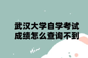 武汉大学自学考试成绩怎么查询不到