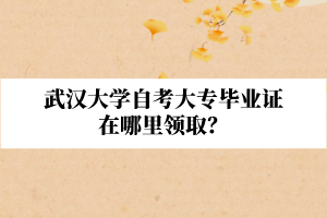 武汉大学自考大专毕业证在哪里领取？