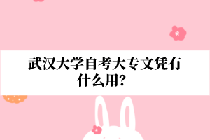 武汉大学自考大专文凭有什么用？