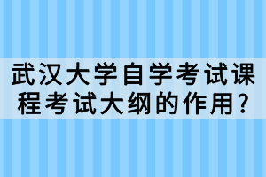 武汉大学自学考试课程考试大纲的作用?